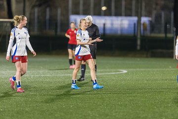 Bild 344 - wBJ Hamburger SV - Eimsbuettler TV 2 : Ergebnis: 16:0